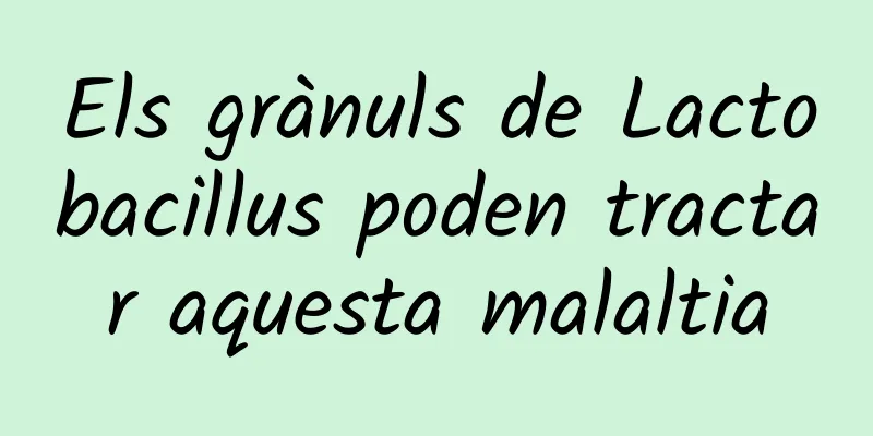 Els grànuls de Lactobacillus poden tractar aquesta malaltia