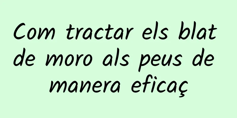 Com tractar els blat de moro als peus de manera eficaç