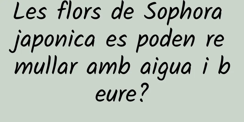 Les flors de Sophora japonica es poden remullar amb aigua i beure?