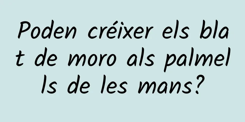 Poden créixer els blat de moro als palmells de les mans?