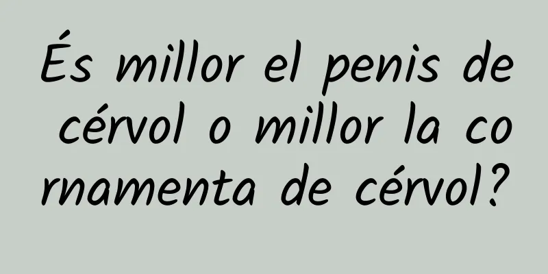 És millor el penis de cérvol o millor la cornamenta de cérvol?