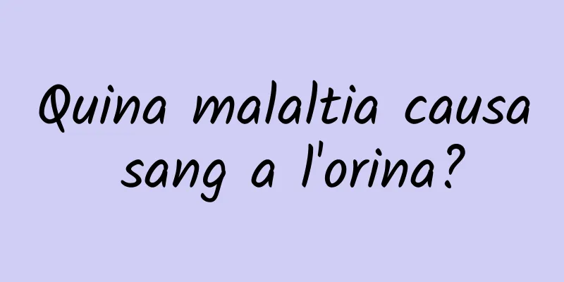 Quina malaltia causa sang a l'orina?