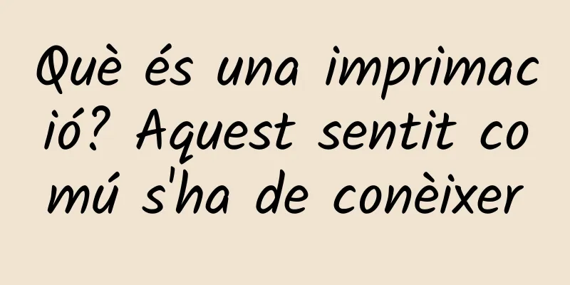 Què és una imprimació? Aquest sentit comú s'ha de conèixer