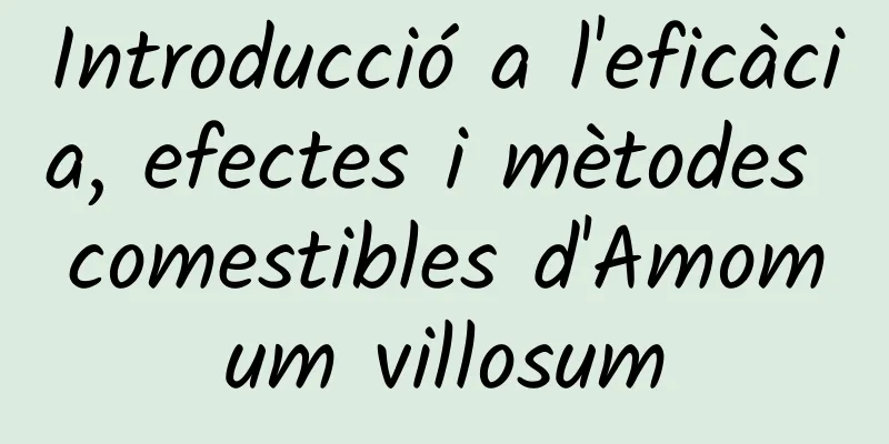 Introducció a l'eficàcia, efectes i mètodes comestibles d'Amomum villosum