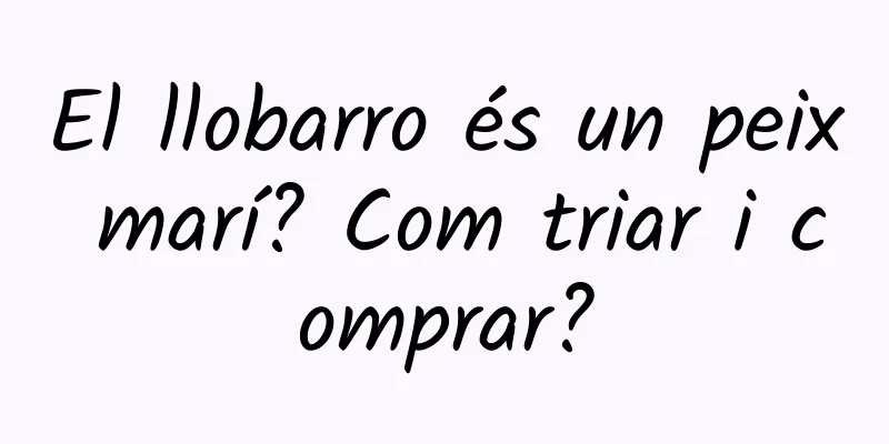El llobarro és un peix marí? Com triar i comprar?