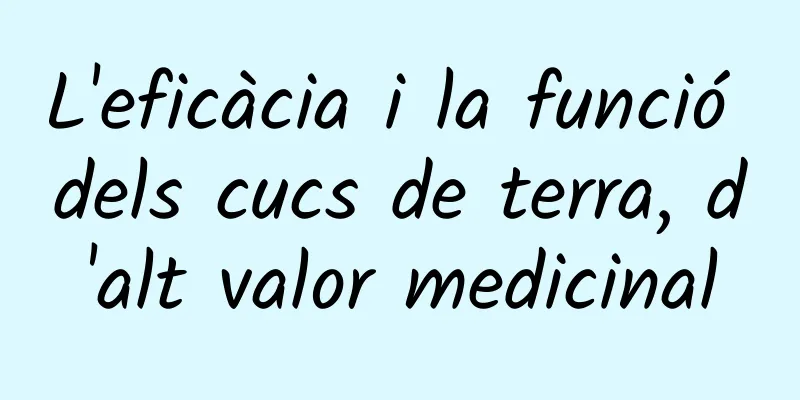 L'eficàcia i la funció dels cucs de terra, d'alt valor medicinal