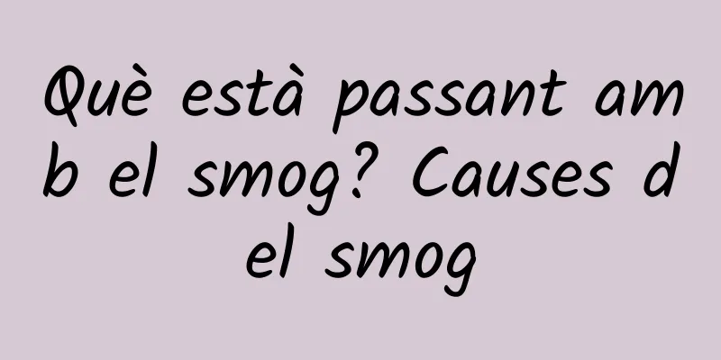 Què està passant amb el smog? Causes del smog
