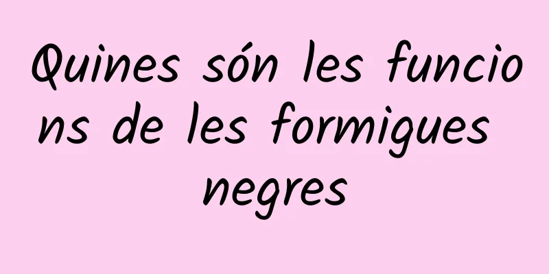 Quines són les funcions de les formigues negres