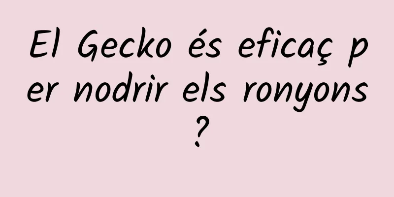 El Gecko és eficaç per nodrir els ronyons?