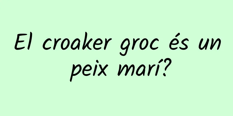 El croaker groc és un peix marí?