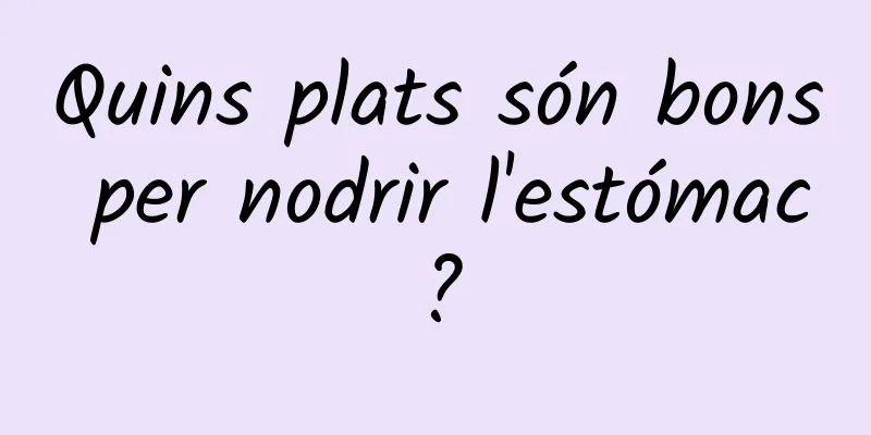 Quins plats són bons per nodrir l'estómac?