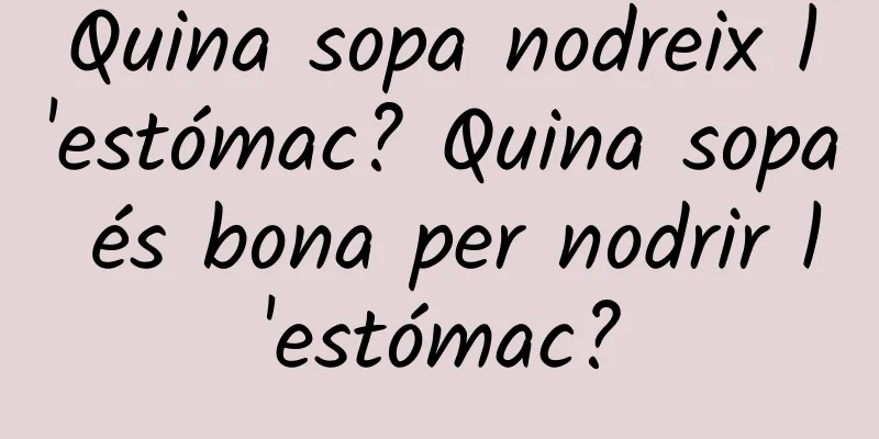Quina sopa nodreix l'estómac? Quina sopa és bona per nodrir l'estómac?