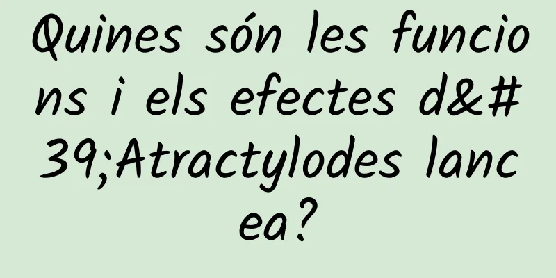 Quines són les funcions i els efectes d'Atractylodes lancea?