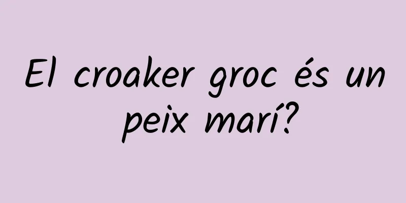 El croaker groc és un peix marí?