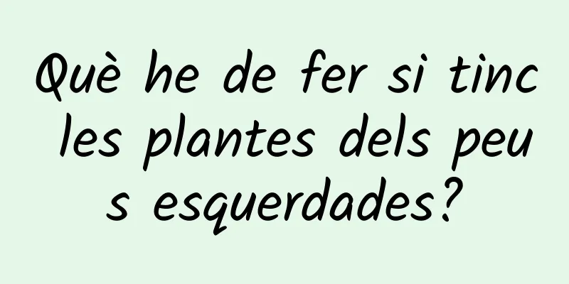 Què he de fer si tinc les plantes dels peus esquerdades?
