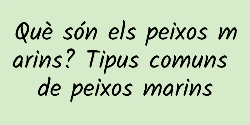 Què són els peixos marins? Tipus comuns de peixos marins