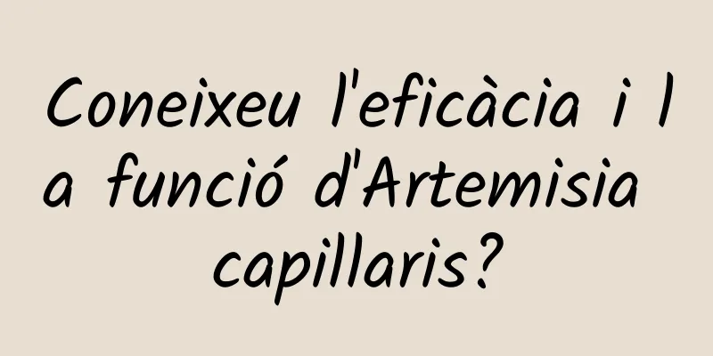 Coneixeu l'eficàcia i la funció d'Artemisia capillaris?