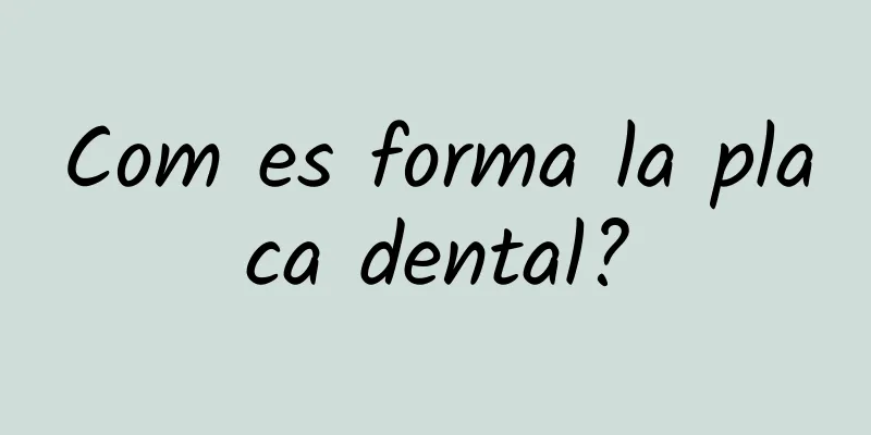 Com es forma la placa dental?