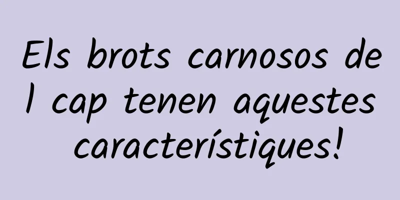 Els brots carnosos del cap tenen aquestes característiques!