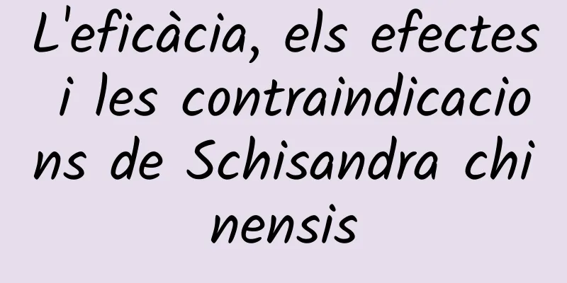 L'eficàcia, els efectes i les contraindicacions de Schisandra chinensis