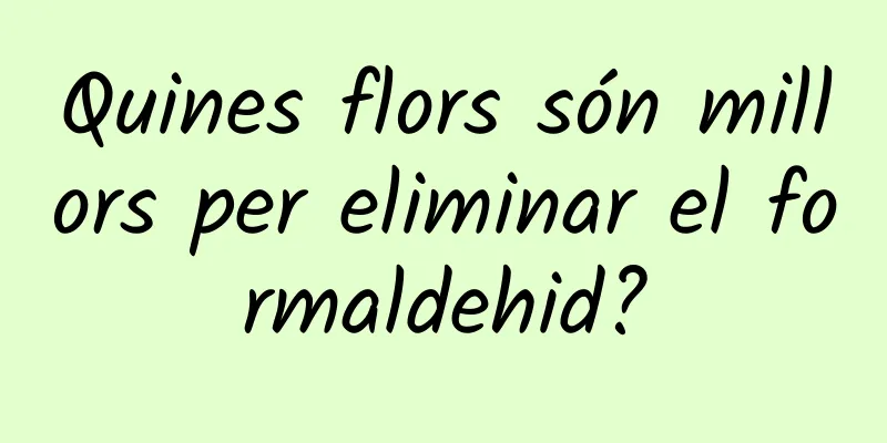 Quines flors són millors per eliminar el formaldehid?