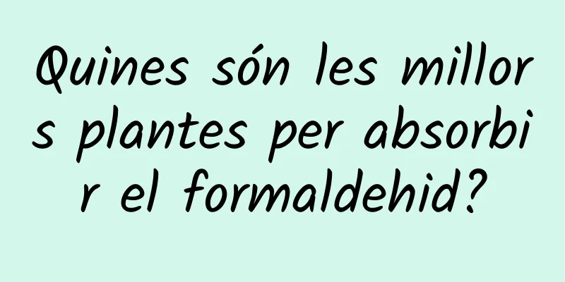 Quines són les millors plantes per absorbir el formaldehid?