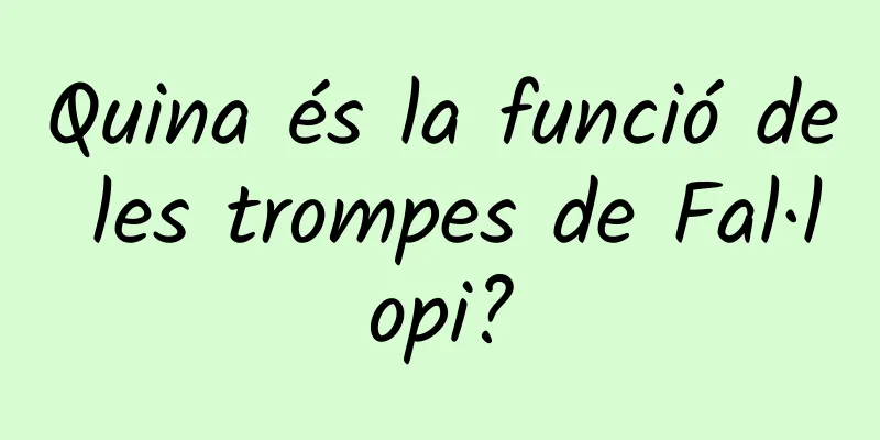 Quina és la funció de les trompes de Fal·lopi?