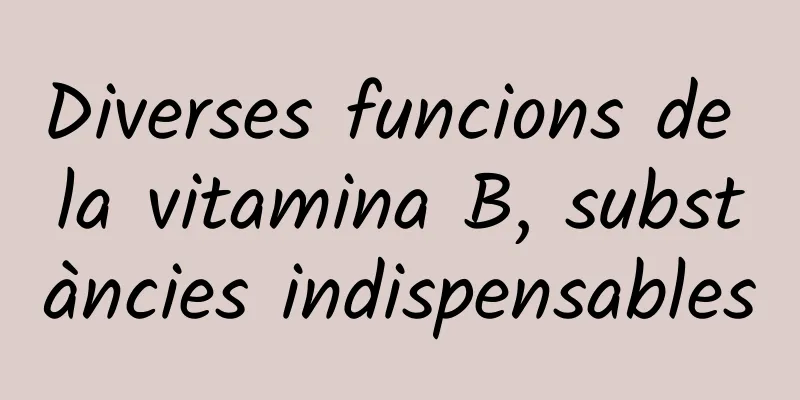 Diverses funcions de la vitamina B, substàncies indispensables