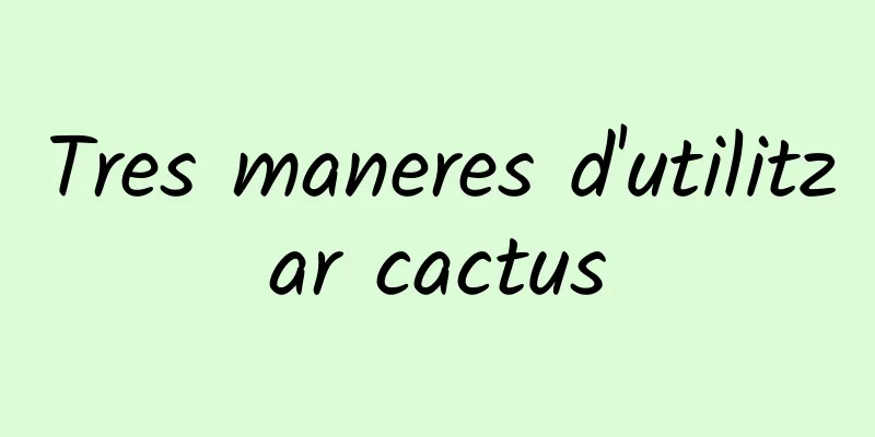 Tres maneres d'utilitzar cactus
