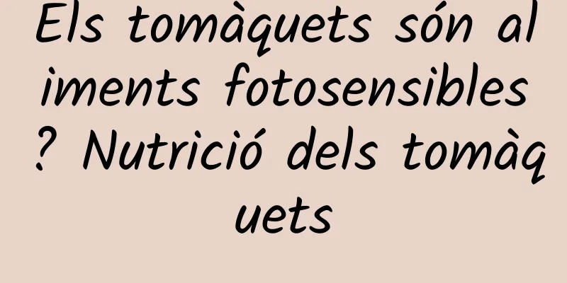Els tomàquets són aliments fotosensibles? Nutrició dels tomàquets