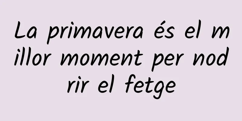 La primavera és el millor moment per nodrir el fetge