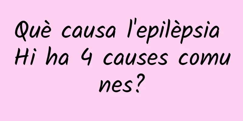 Què causa l'epilèpsia Hi ha 4 causes comunes?