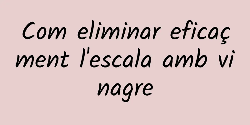 Com eliminar eficaçment l'escala amb vinagre