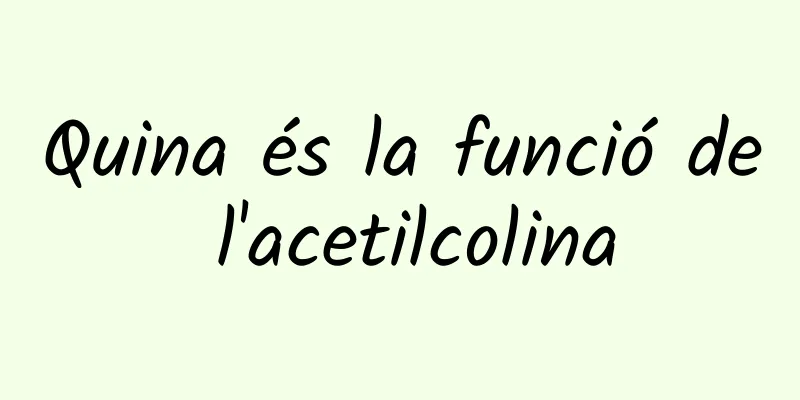 Quina és la funció de l'acetilcolina