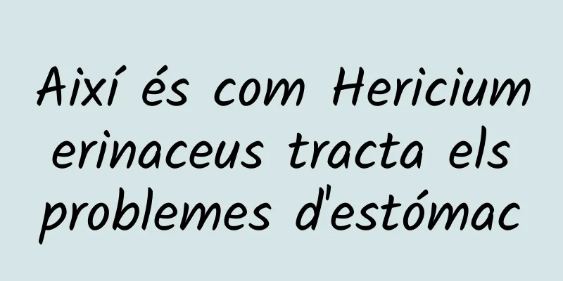 Així és com Hericium erinaceus tracta els problemes d'estómac