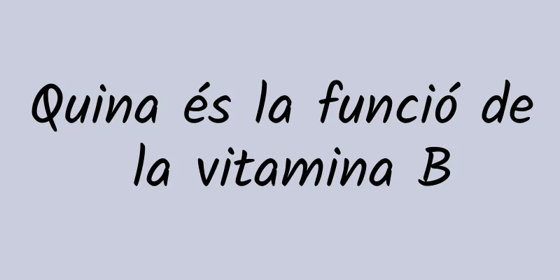 Quina és la funció de la vitamina B