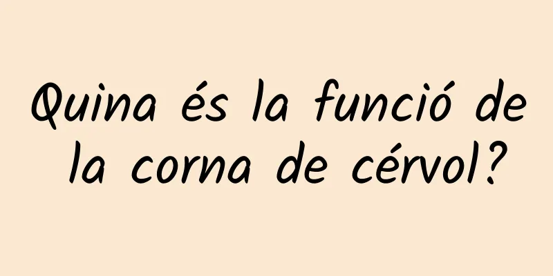 Quina és la funció de la corna de cérvol?