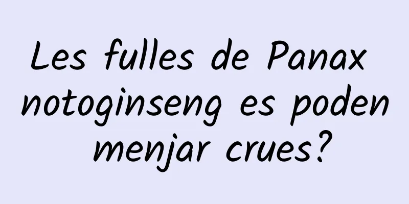 Les fulles de Panax notoginseng es poden menjar crues?