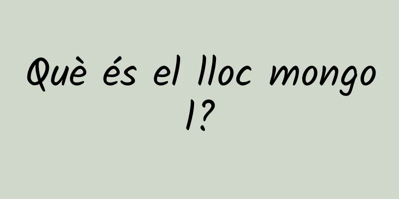 Què és el lloc mongol?