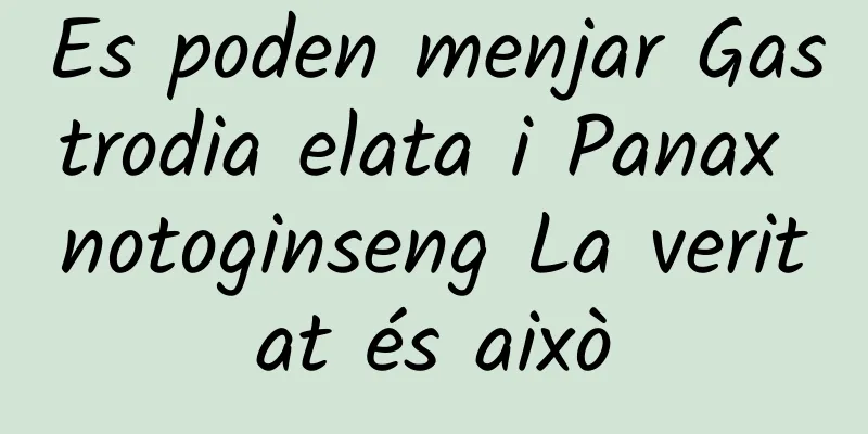 Es poden menjar Gastrodia elata i Panax notoginseng La veritat és això