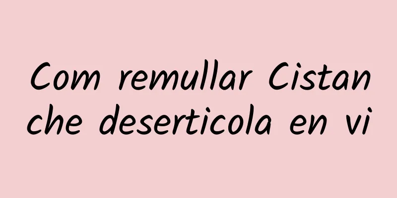 Com remullar Cistanche deserticola en vi