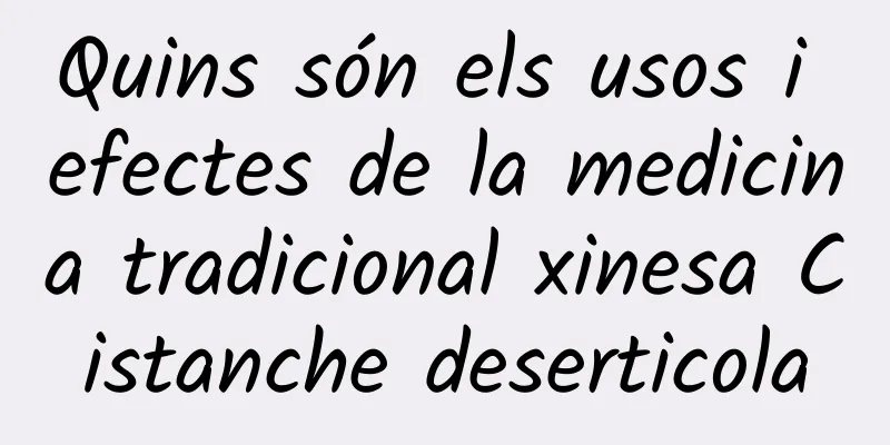 Quins són els usos i efectes de la medicina tradicional xinesa Cistanche deserticola