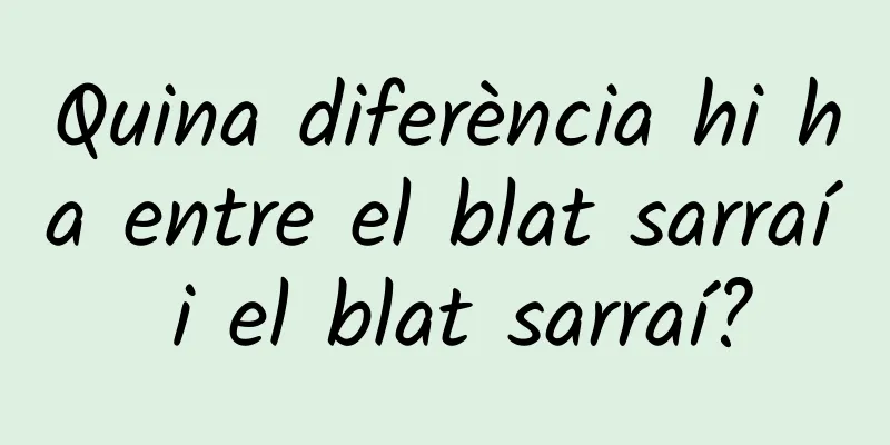 Quina diferència hi ha entre el blat sarraí i el blat sarraí?