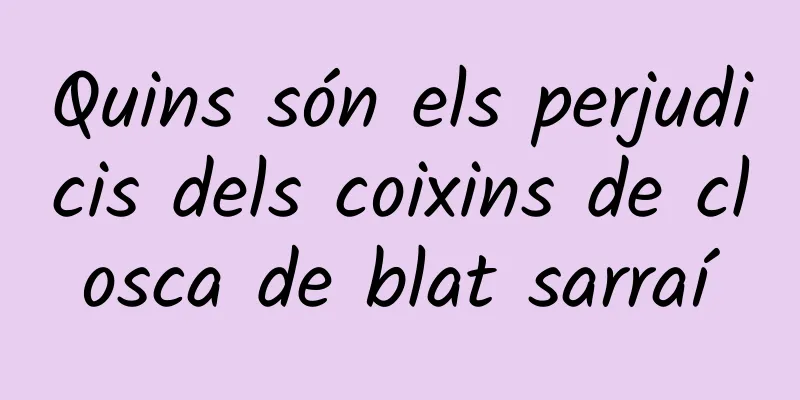 Quins són els perjudicis dels coixins de closca de blat sarraí