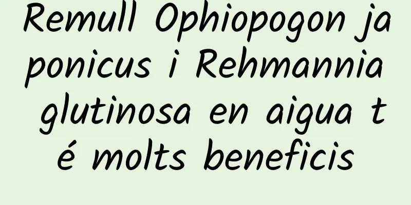 Remull Ophiopogon japonicus i Rehmannia glutinosa en aigua té molts beneficis