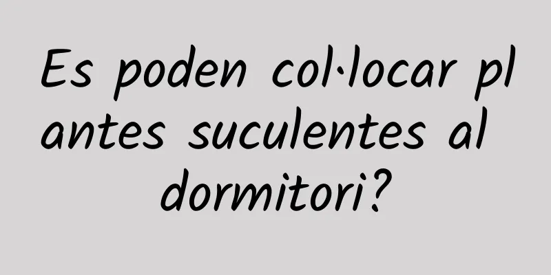Es poden col·locar plantes suculentes al dormitori?