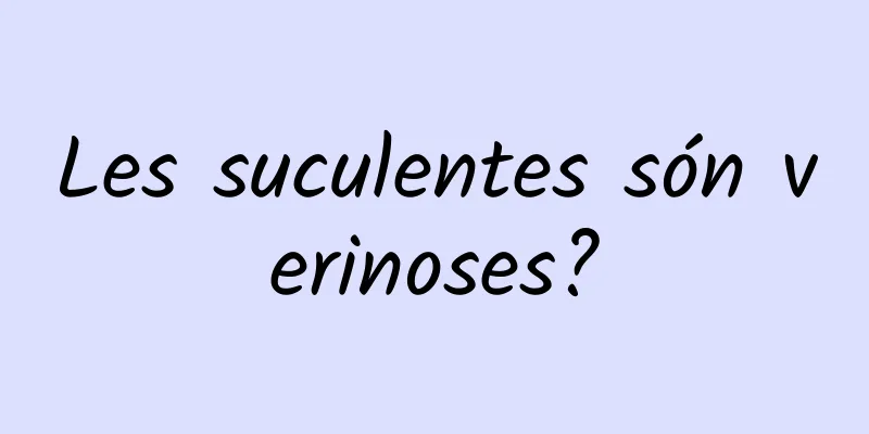 Les suculentes són verinoses?