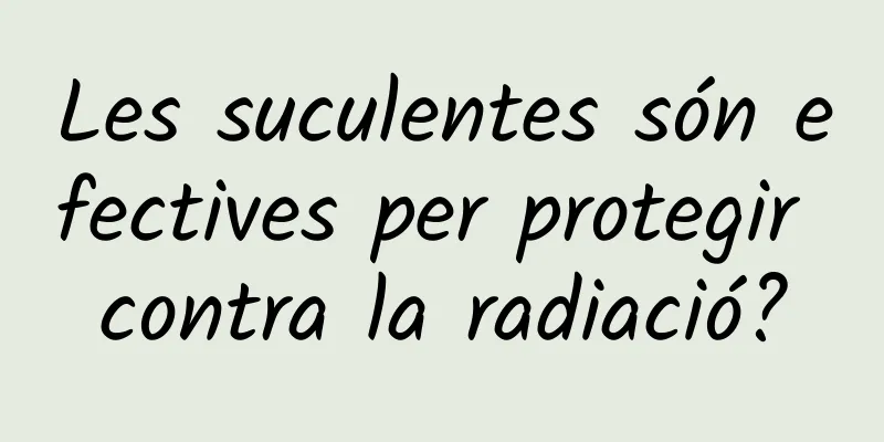 Les suculentes són efectives per protegir contra la radiació?