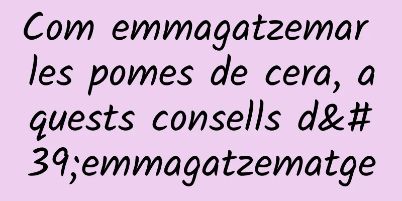 Com emmagatzemar les pomes de cera, aquests consells d'emmagatzematge