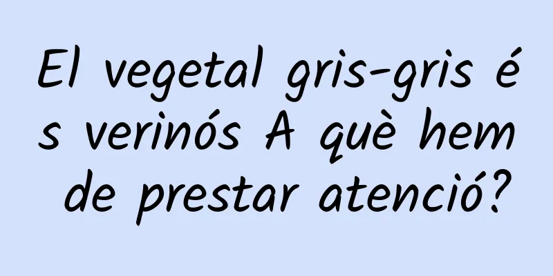 El vegetal gris-gris és verinós A què hem de prestar atenció?